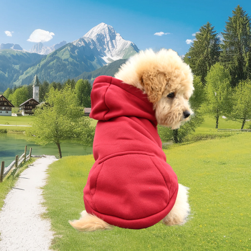 Skanto | Hund Halloween Kostyme Fleece Dinosaur Hoodie | Kjæledyrantrekk Varm