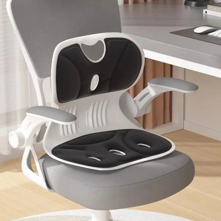 Skanto | Ergonomisk Kontorstol Holdning Korrigerer Sete med Ryggstøtte