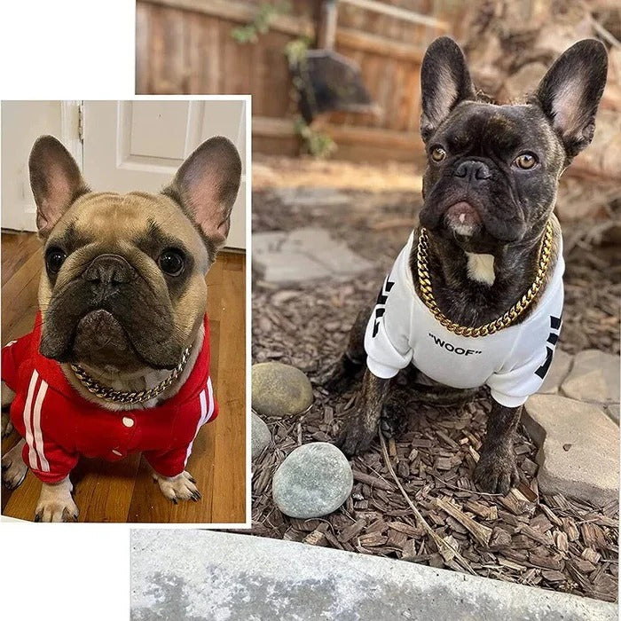 Skanto | Heavy Duty Hundehalsbånd