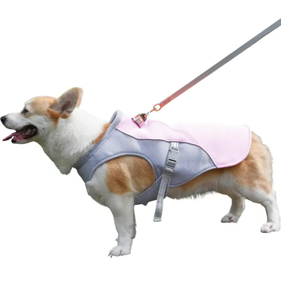 Skanto | Dog Cooling Vest for Outdoor Activities