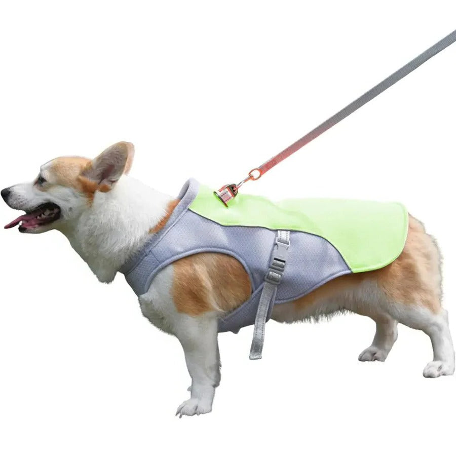 Skanto | Dog Cooling Vest for Outdoor Activities