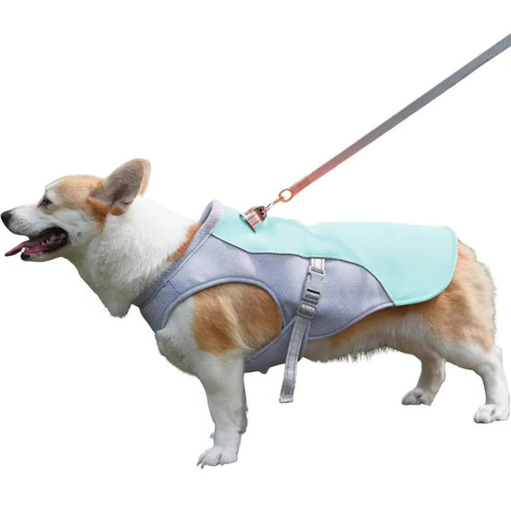 Skanto | Dog Cooling Vest for Outdoor Activities