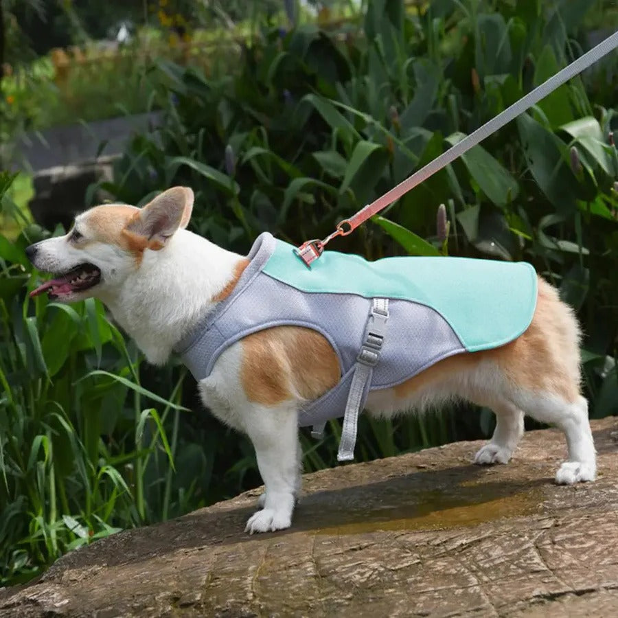 Skanto | Dog Cooling Vest for Outdoor Activities