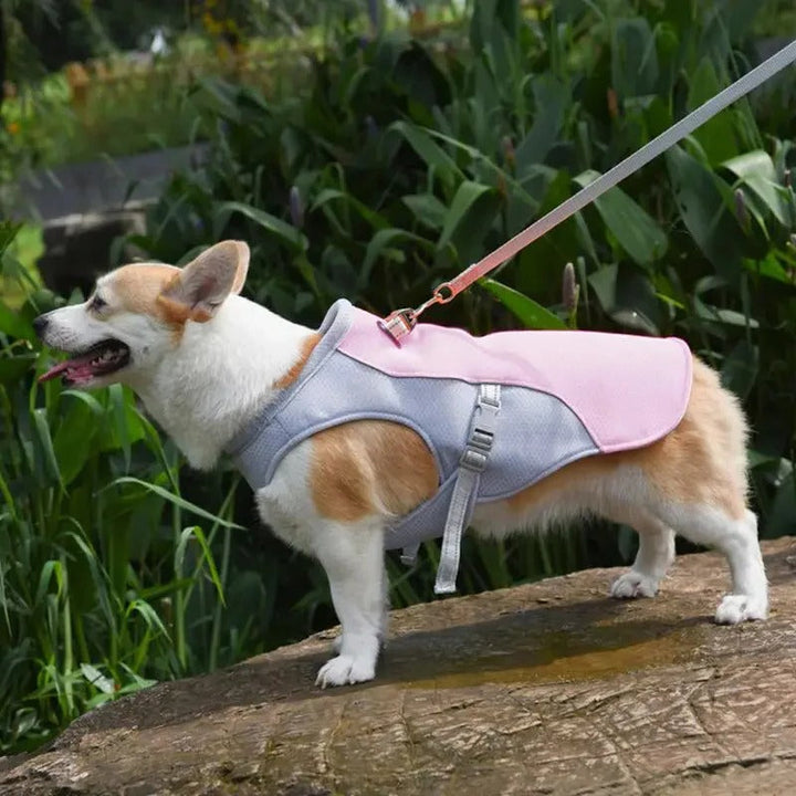 Skanto | Dog Cooling Vest for Outdoor Activities