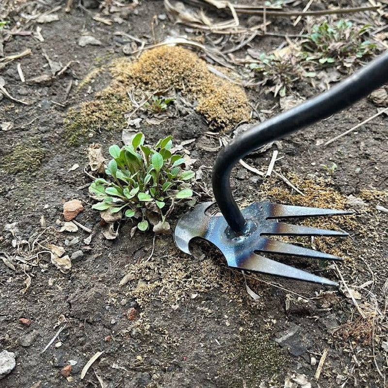 Skanto | Weed Tool Remover