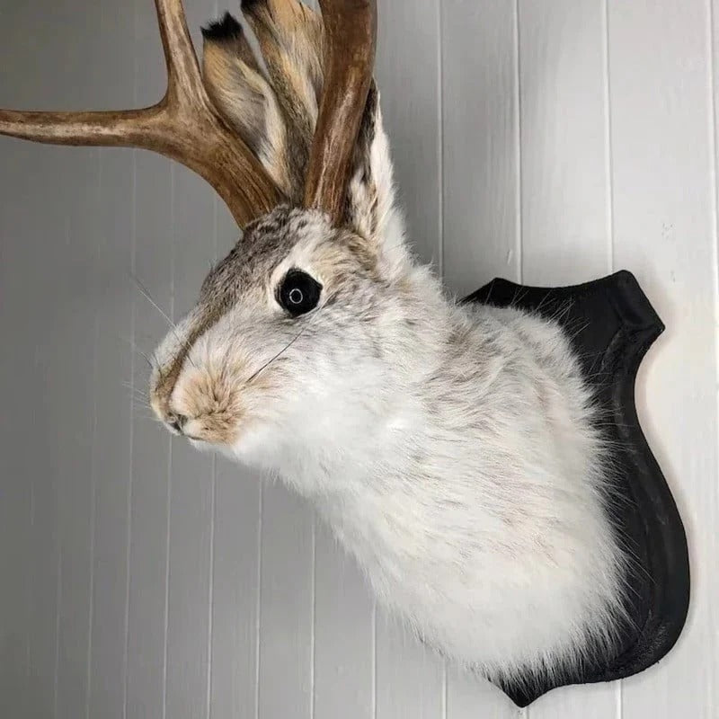 Skanto | Jackalope Veggdekor