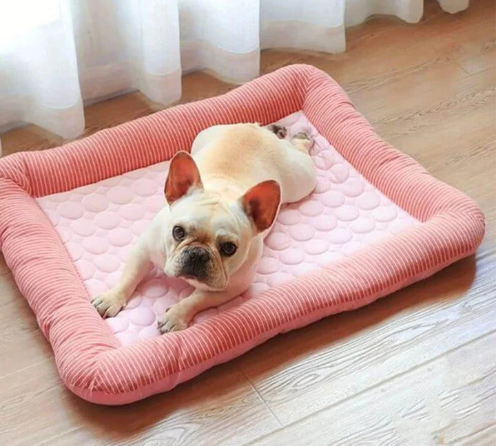 Skanto | Kjølende Hundeseng med Is Silke Materiale