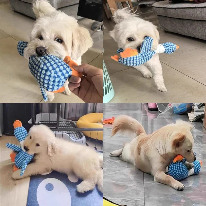 Skanto | Duck Plush Kosedyr til Hunder med Piping