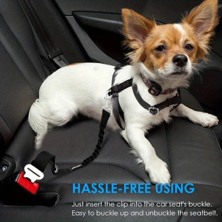 Skanto | Pet Bilsete Belte Sele for Hunder