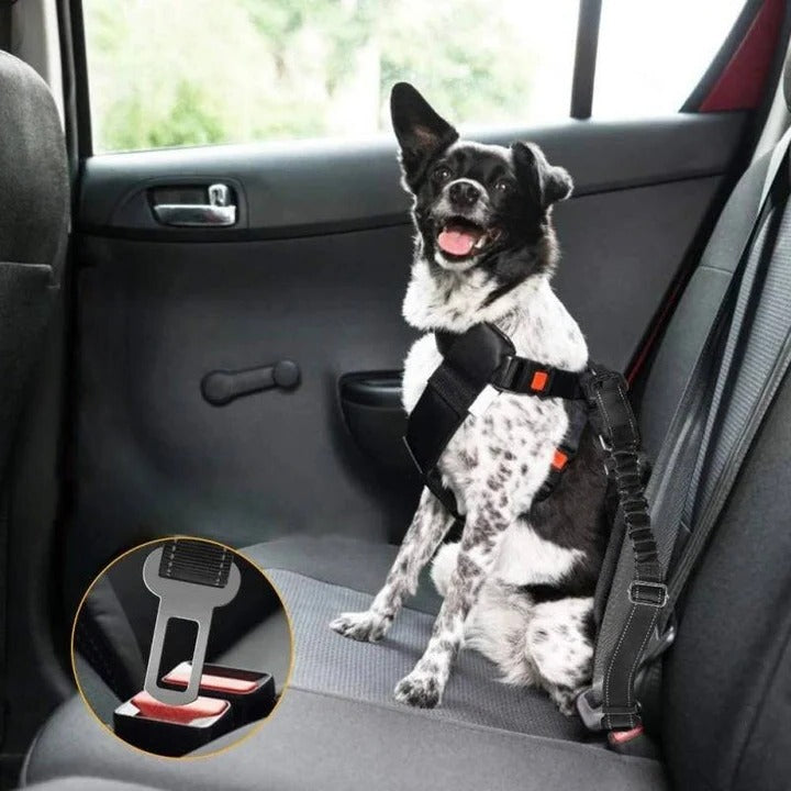 Skanto | Pet Bilsete Belte Sele for Hunder