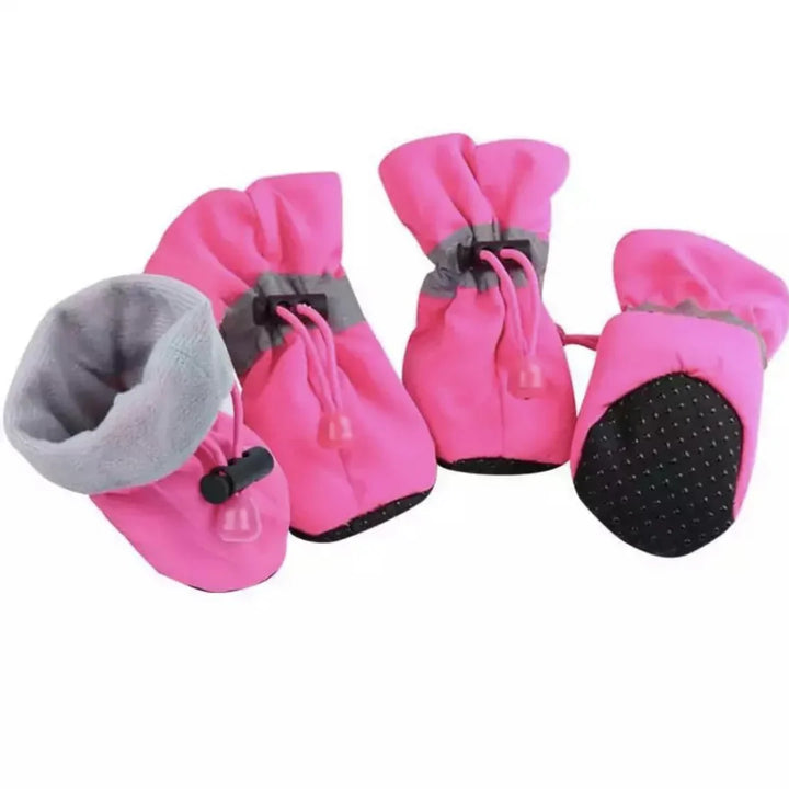 Winter Paw Protection – Paw Walks Skanto