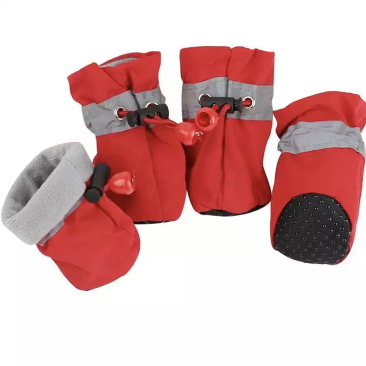 Winter Paw Protection – Paw Walks Skanto