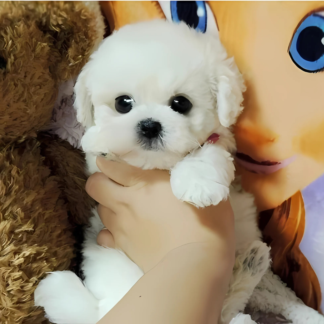 Skanto | Kosepute Livaktig Plush Valp Leketøy