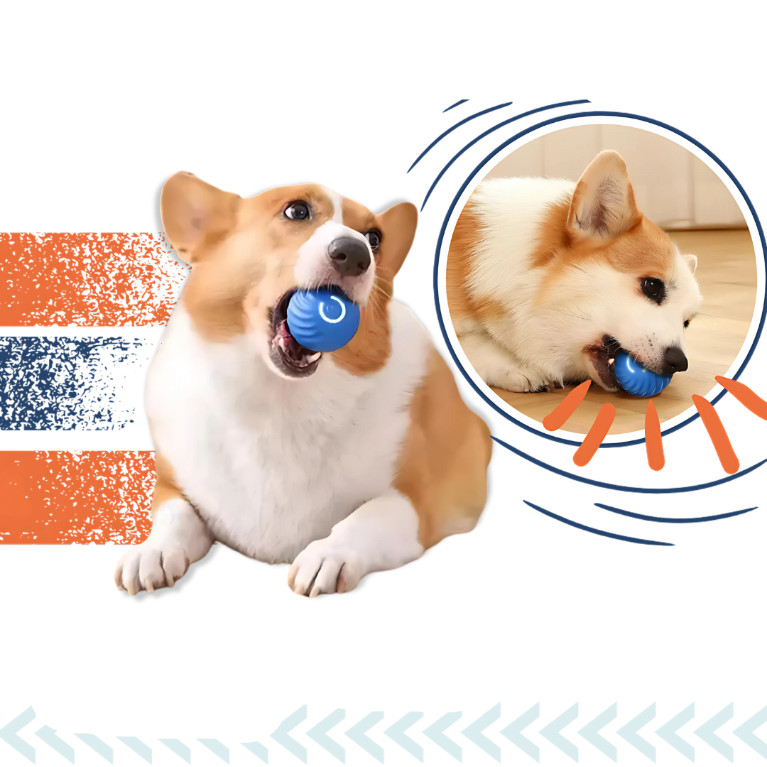 Skanto | Interaktiv Smart Hundeball Leke