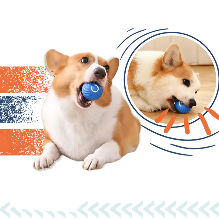 Skanto | Interaktiv Smart Hundeball Leke