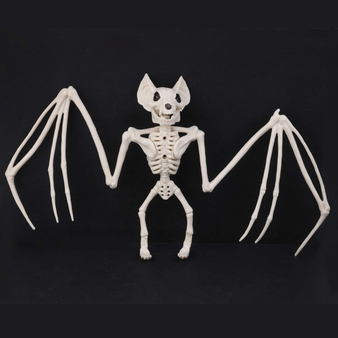 Skanto | Veggkunst Hengende Skeletflater Ornament