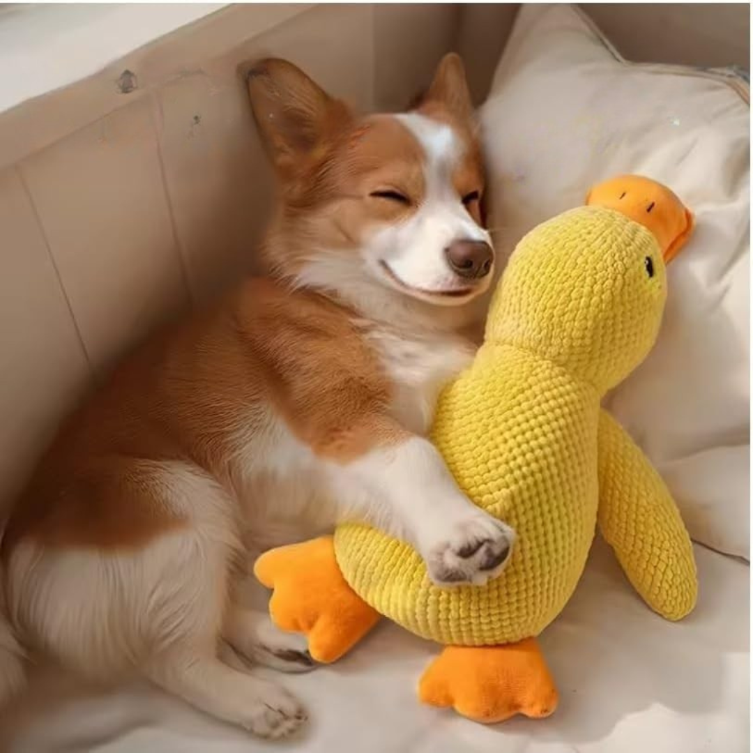 Skanto | Hundelek Plush And Mental Stimulation