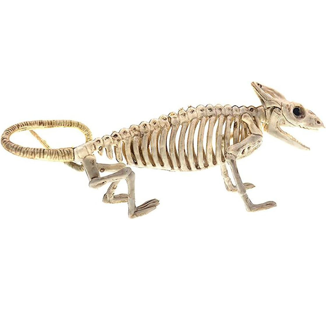 Skanto | Veggkunst Hengende Skeletflater Ornament