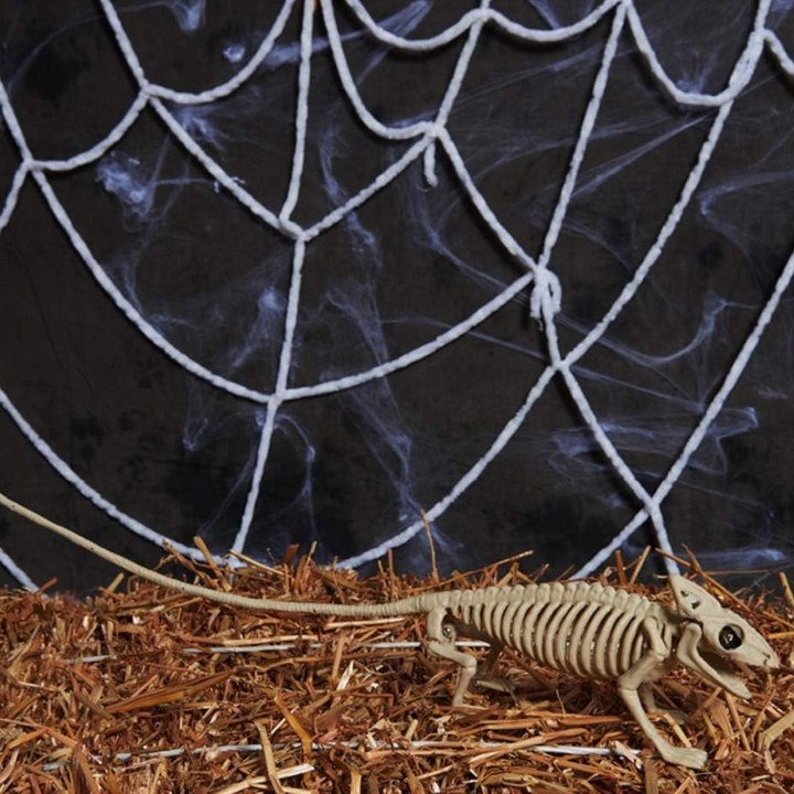 Skanto | Veggkunst Hengende Skeletflater Ornament