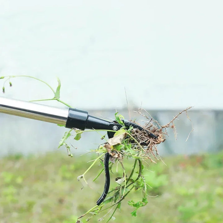 Skanto | EasyRoot Hage Ugressfjerner