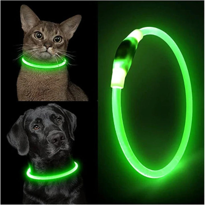 Skanto | Lyse opp hundehalsbånd, USB-oppladbart LED-glødende halsbånd