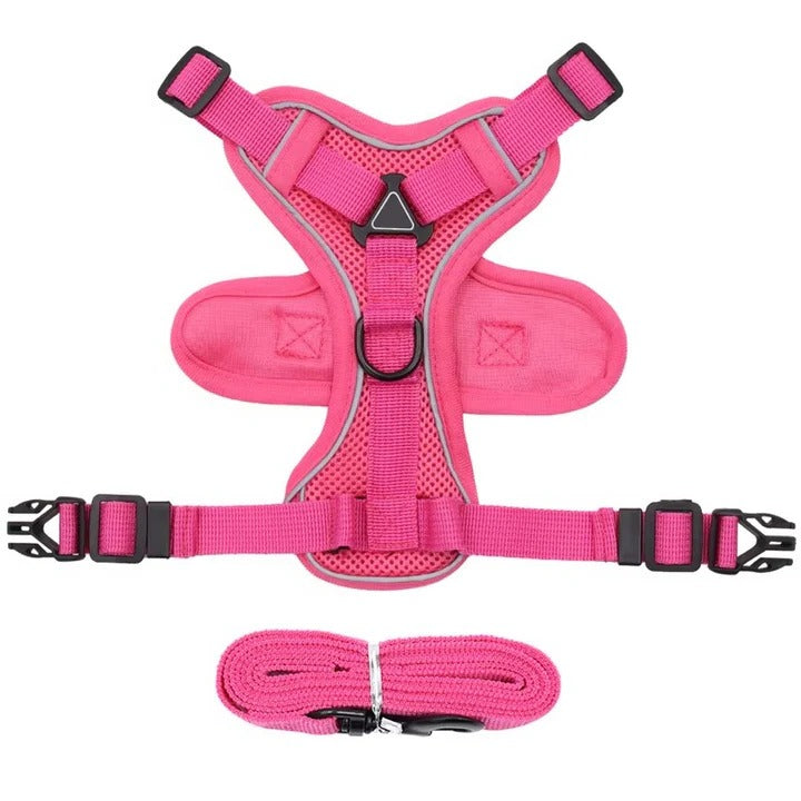Skanto | Reflekterende Kattesele og Båndsett