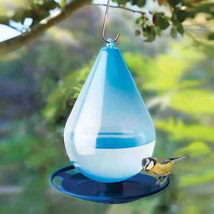 Skanto | Raindrop Bird Water Feeder
