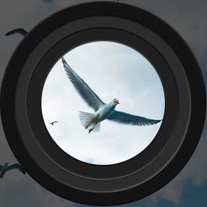 Skanto | Lang rekkevidde nattsyn kikkert