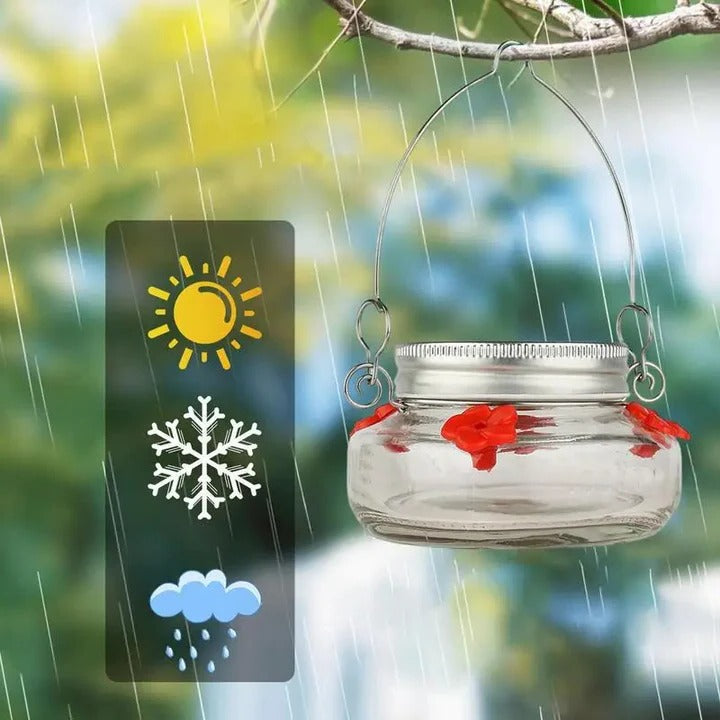 Skanto | Clear Flower Port Kolibri Fugl Maters