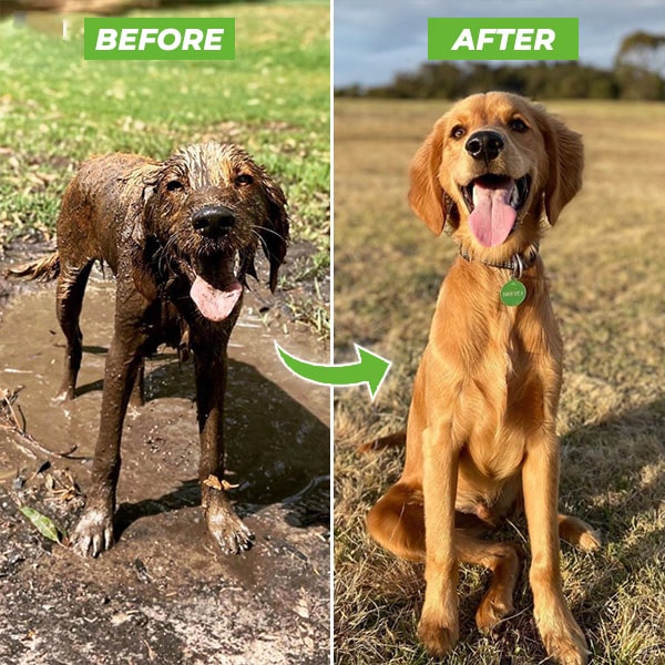 Skanto | Hundefor dusj sprayer - WashBuddy