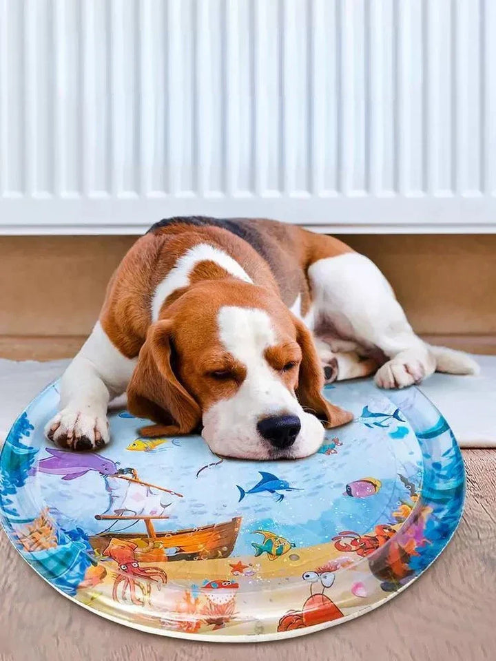 Skanto | Pet Water Bed