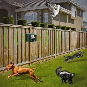 Norvo | Woodpecker Ultrasonic Repeller for Effective Bird Control - Bli kvitt hakkespetter