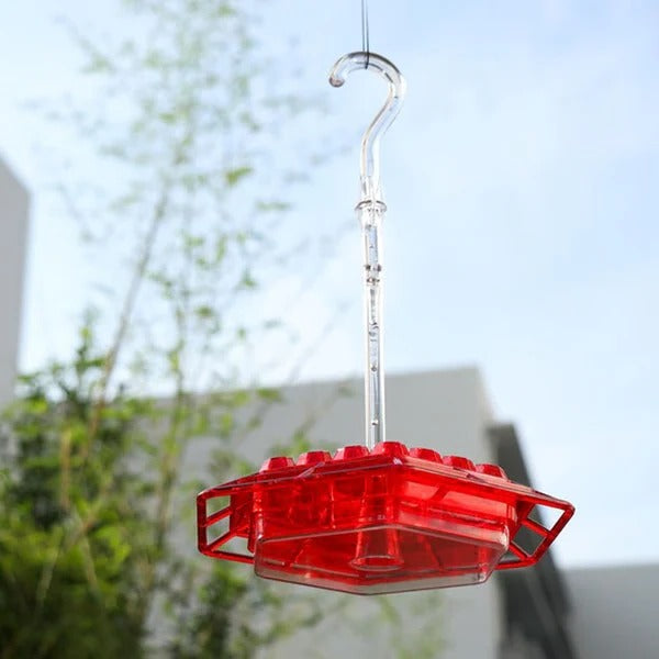 Skanto | Hummingbird Fôringsapparat Med Innebygd Muurmot