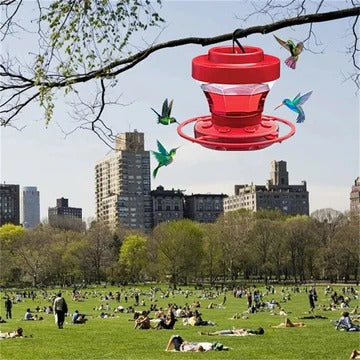 Skanto | Hengende Bee Proof Kolibri Vanntilførsel med Sittepinne