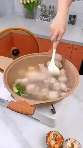 VEGA - UltraSmart Wok Pro med Dampfgareinsatz