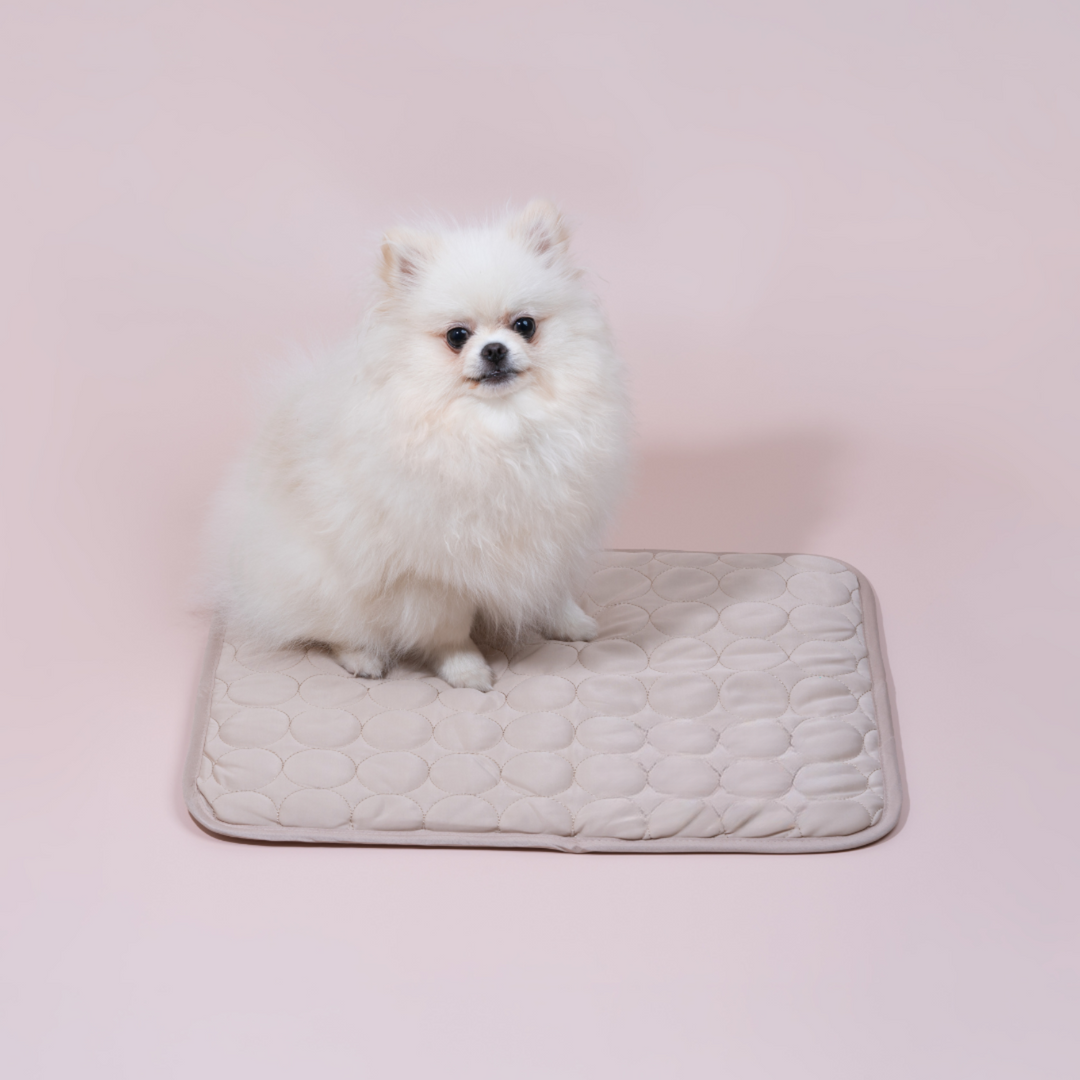 Skanto | Innovativ Kjølematte for Hunder (4x Kjølekapasitet) - ChillComfort