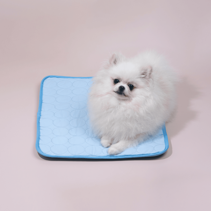 Skanto | Innovativ Kjølematte for Hunder (4x Kjølekapasitet) - ChillComfort