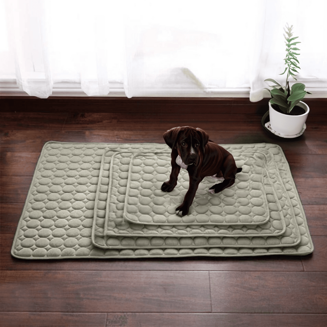 Skanto | Innovativ Kjølematte for Hunder (4x Kjølekapasitet) - ChillComfort