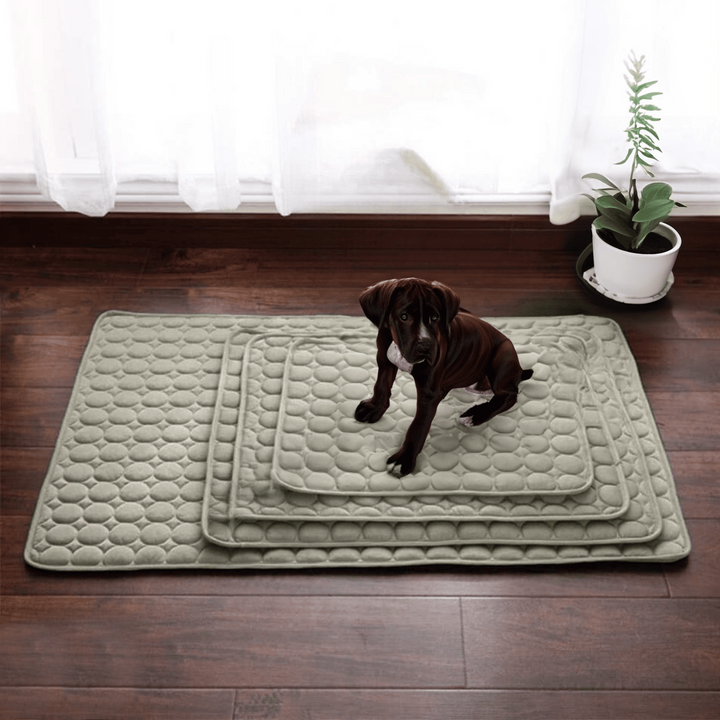 Skanto | Innovativ Kjølematte for Hunder (4x Kjølekapasitet) - ChillComfort