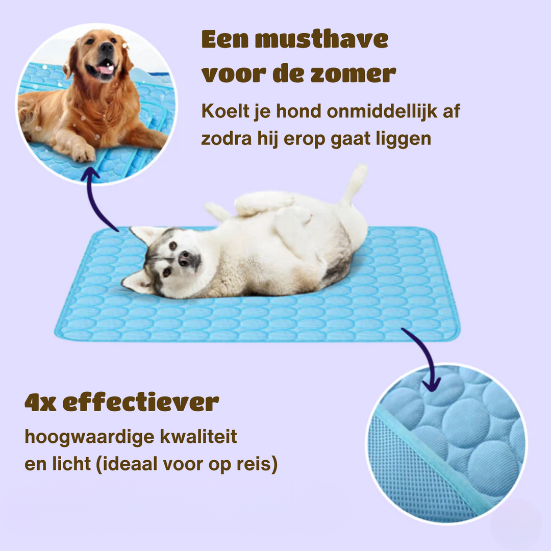 Skanto | Innovativ Kjølematte for Hunder (4x Kjølekapasitet) - ChillComfort