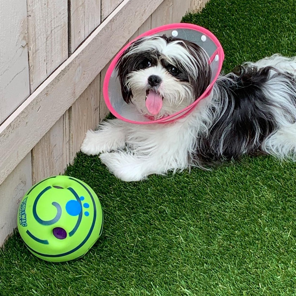 Interaktiv Hundeball - GiggleSphere Skanto