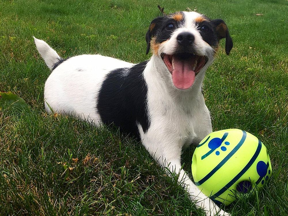 Interaktiv Hundeball - GiggleSphere Skanto