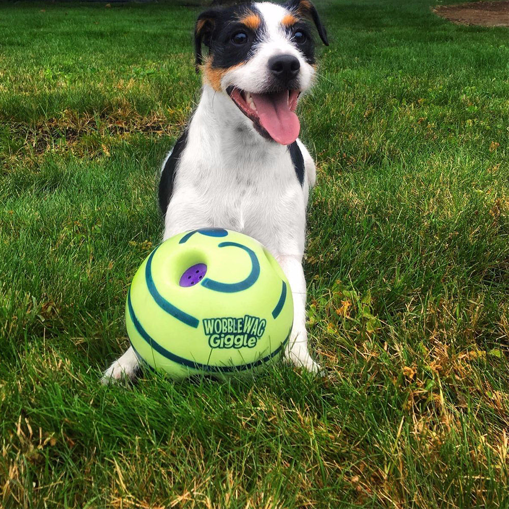 Interaktiv Hundeball - GiggleSphere Skanto