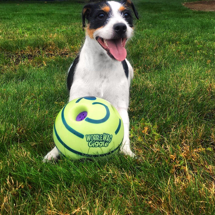 Interaktiv Hundeball - GiggleSphere Skanto