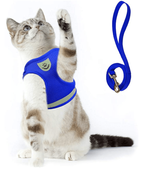 Ausbruchsicheres Katzengeschirr mit reflektierenden Detaljer