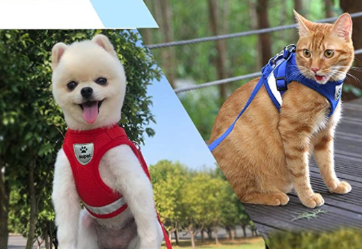 AdventureKit - Sikker sele for eventyrlystne katter Skanto