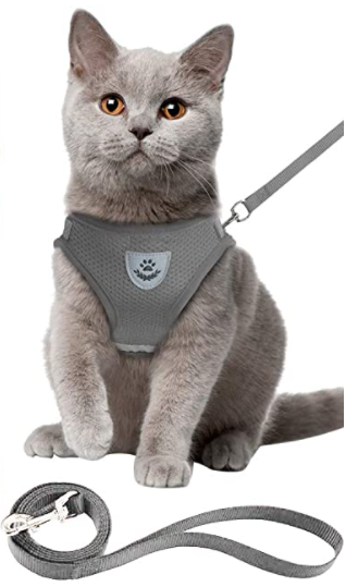 AdventureKit - Sikker sele for eventyrlystne katter Skanto