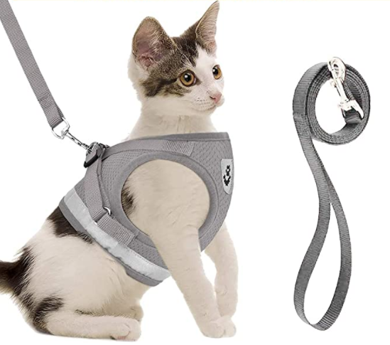 AdventureKit - Sikker sele for eventyrlystne katter Skanto