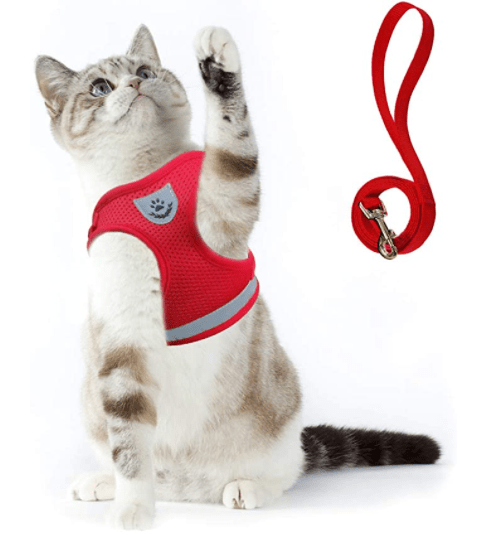 Ausbruchsicheres Katzengeschirr mit reflektierenden Detaljer