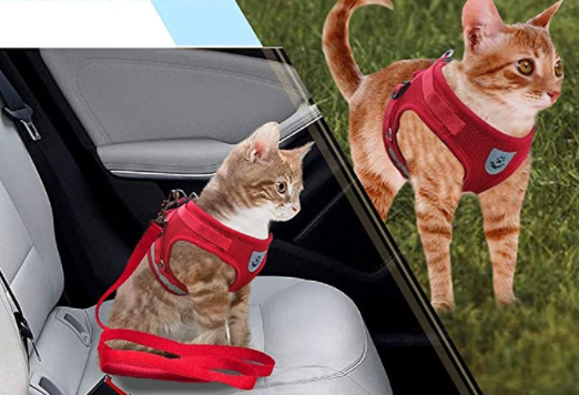 AdventureKit - Sikkert utstyr for eventyrlystne katter